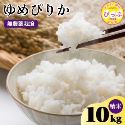 ふるさと納税 比布町 令和7年産 今野農園 ゆめぴりか 精米10kg
