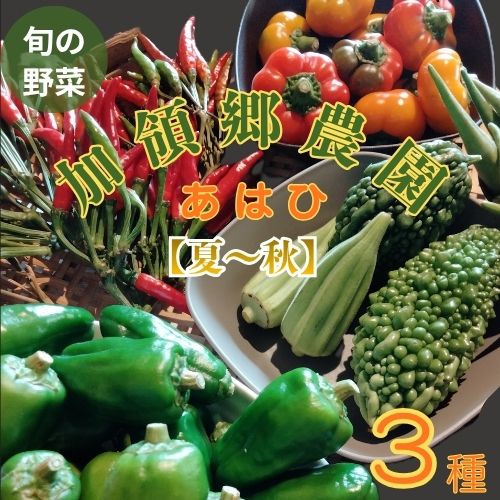 【ふるさと納税】高知の自然の恵みたっぷりこだわり野菜ボックス（夏から晩秋） お野菜 季節 野菜 旬 新鮮 産地直送 露地 詰め合わせ やさい おいしい 自然 セット おまかせ 詰合せ 旬の野菜 お試し 3種類 少量/高知県奈半利町