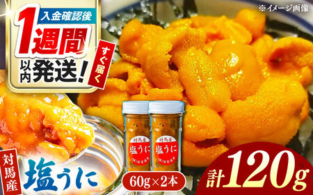 【1週間以内発送】対馬産 塩うに 60g×2本 [WAA018] 海鮮 魚介 うに ウニ うに 雲丹塩うに スピード発送 最速発送 最短発送