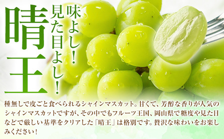 【先行予約】秋のシャインマスカット 晴王 1房 環山堂株式会社《2024年9月上旬-10月下旬頃より発送予定》岡山県 浅口市 シャインマスカット マスカット ぶどう 果物 フルーツ 送料無料