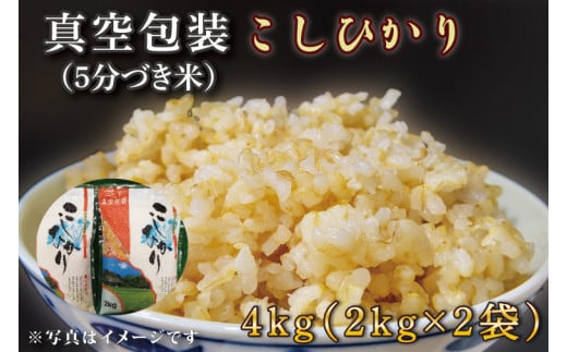 ★真空包装★R7年産こしひかり 4kg(2kg×2袋)【5分づき】｜米 こめ お米 コシヒカリ こしひかり 真空 真空包装 5分づき 人気 個包装 茨城県 行方市 送料無料(CZ-6-3)