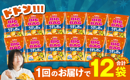 【 期間限定 特別価格 】 カルビー ポテトチップス BIGBAG 【 うすしお 】 12袋 K194-002_04 ポテチ チップス 菓子 お菓子 スナック スナック菓子 おやつ おかし じゃがいも