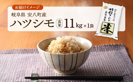 R7年産 特選米 ハツシモ 玄米 11kg ×1袋 お米 米 ごはん 新米 ご飯 はつしも 令和7年産 ブランド米 低農薬 お取り寄せ 産地直送 クリーンファームまき 送料無料 岐阜県 安八町
