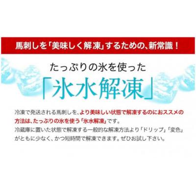 ふるさと納税 氷川町 馬刺し 上赤身 ブロック 熊本肥育 生食用 たれ付き(10ml×6袋) 100g×6セット |  | 03