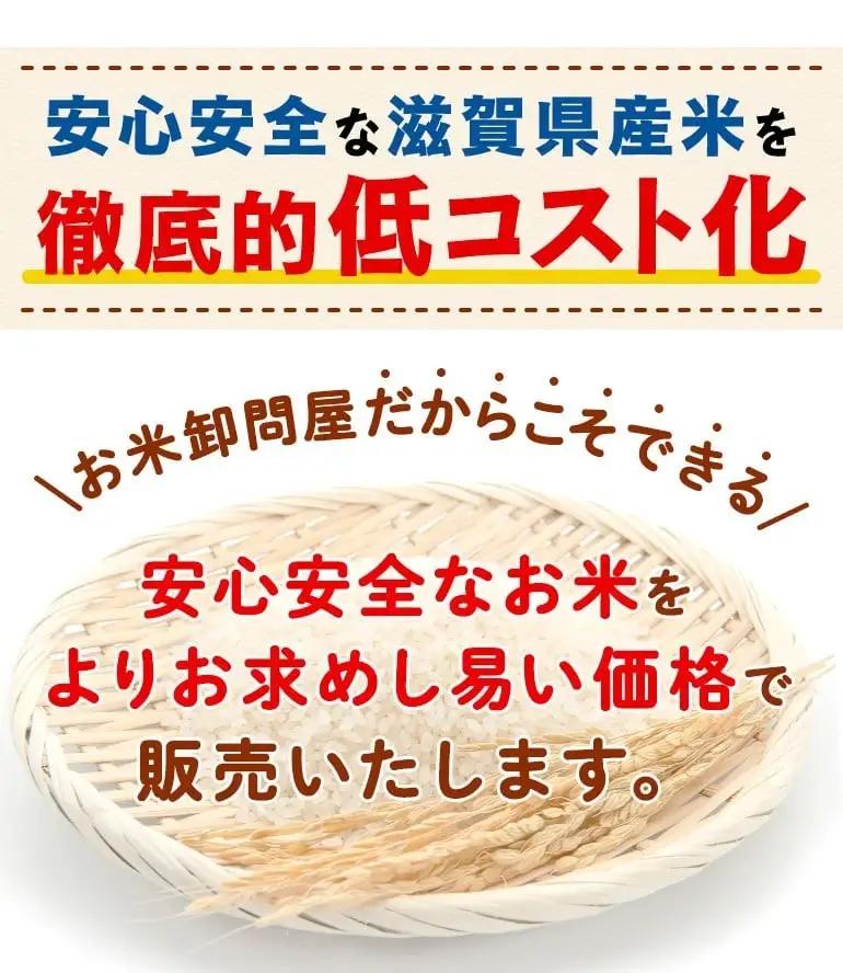 ミルキークイーン 5kg 白米 国産 ミルキークイン おこめ ご飯 ごはん 近江米 お弁当