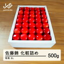 【ふるさと納税】 《先行予約》贈答用 2025年 山形県産さくらんぼ 佐藤錦 化粧詰 500g 特秀 2L F21A-235