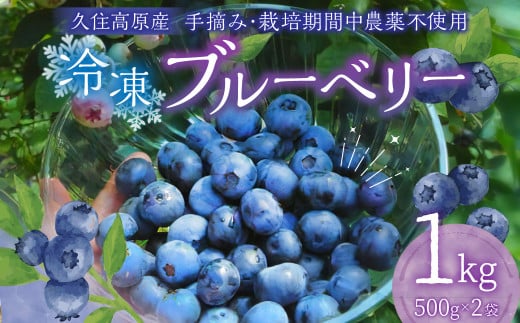 【2ヶ月毎5回 定期便】久住高原 手摘みブルーベリー 冷凍 500g 2袋 計5kg 小分け 栽培期間中農薬不使用