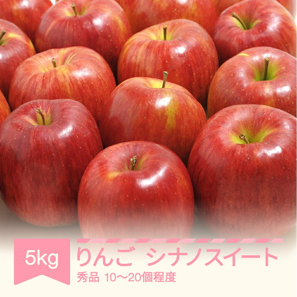 【ふるさと納税】【先行予約】 シナノスイート 秀品 5kg りんご 令和7年産 2025年産 果物 送料無料 ※沖縄・離島への配送不可 sb-rissx5