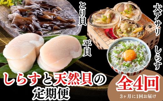 ＜発送月固定定期便＞しらすと天然貝の定期便 全4回 【離島不可】