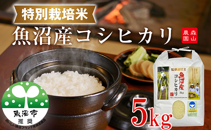 
            [№5762-0202]令和7年産 森山農園 特別栽培米魚沼産コシヒカリ（新潟県認証） 5kg お米
          