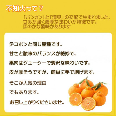 2026年2月〜順次出荷　甘さと酸味の絶妙なバランス!はじける果肉「不知火」約3キロ【C39−74】【配送不可地域：離島】【1620480】