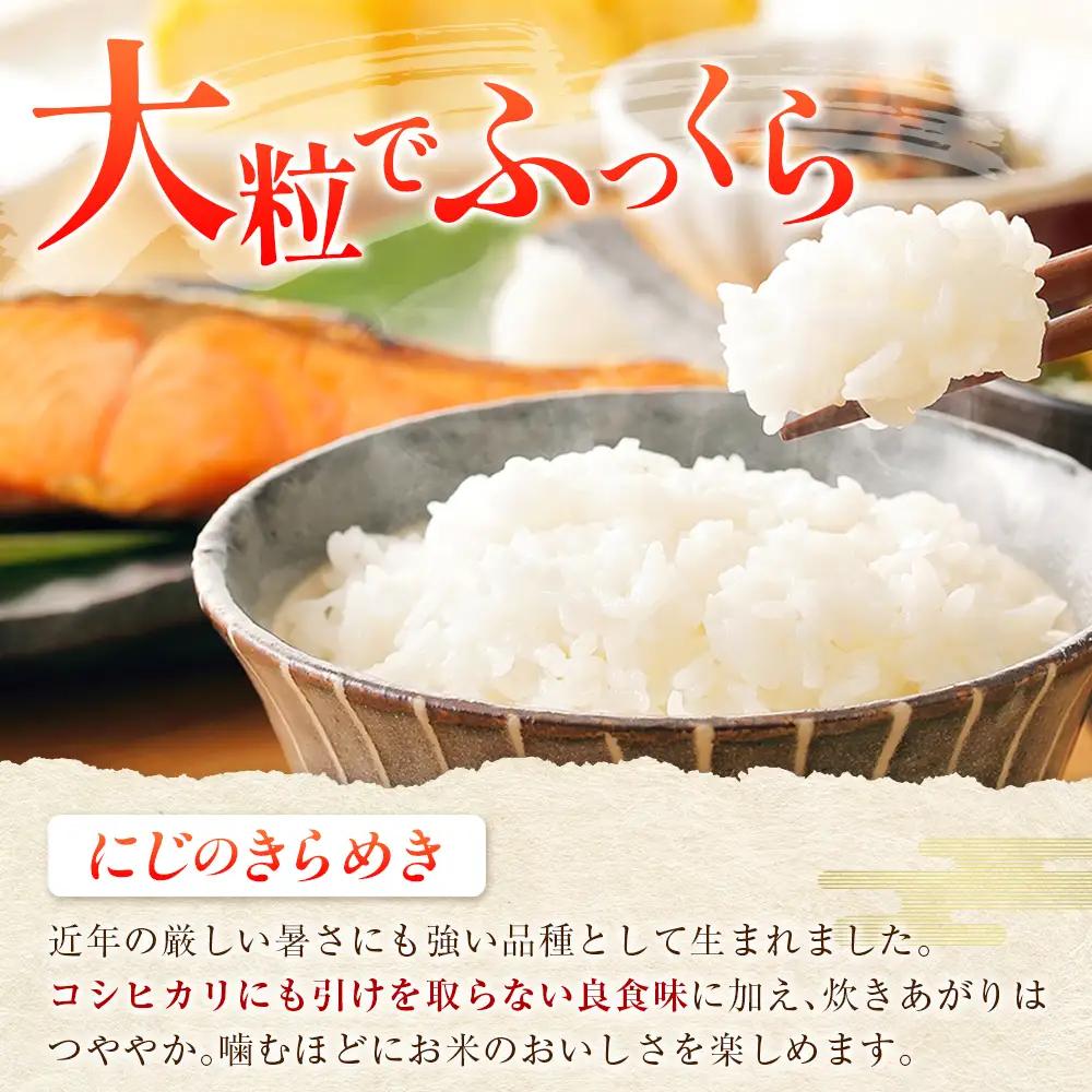 『定期便』全3回 にじのきらめき 精米 10kg 大朝の米 栄ファーム 毎月届く定期便 米どころ北広島町のおいしいお米_SA091_011s3