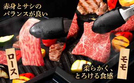 くまもと黒毛和牛「藤彩牛」焼肉用3種セット 計約900g 3901【株式会社フジチク】[BHAD124]
