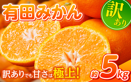 農家直送 有田 みかん 訳あり 5kg 光センサー 選別 / 温州みかん 有田みかん 甘い 家庭用 和歌山 柑橘 ※11月中旬～1月中旬に順次発送 ※北海道・沖縄・離島への配送不可 【nuk004-noka-c5A】 