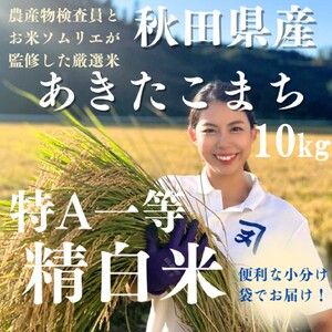 【米農家直送】令和7年産 特Aランク 厳選 秋田県産 あきたこまち 白米 10kg（5kg×2） 精米 お米【(株)鈴木又五郎商店】[H9-2301]