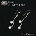 【ふるさと納税】 真珠 想い梅 パールピアス 枝花 Npearl シルバー 宇和海 SV SILVER アクセサリー アコヤ真珠 akoya アコヤ 本真珠 パール ピアス ファッション カジュアル 卒業式 入学式 お祝い 人気 ギフト 贈り物 特産品 国産 真珠 愛媛 宇和島 A110-166006