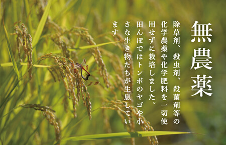 【頒布会】最高級 無農薬栽培米10kg(5kg×2個)×全12回 南魚沼産コシヒカリ