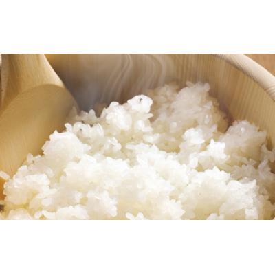 ふるさと納税 阿賀野市 【6ヶ月定期便】 1/25 越後ごはん 小盛 140g×30個×6回 バイオテックジャパン |  | 03