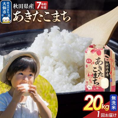 ふるさと納税 大仙市 無洗米 あきたこまち 20kg 秋田県産 令和7年産|22_kml-022001