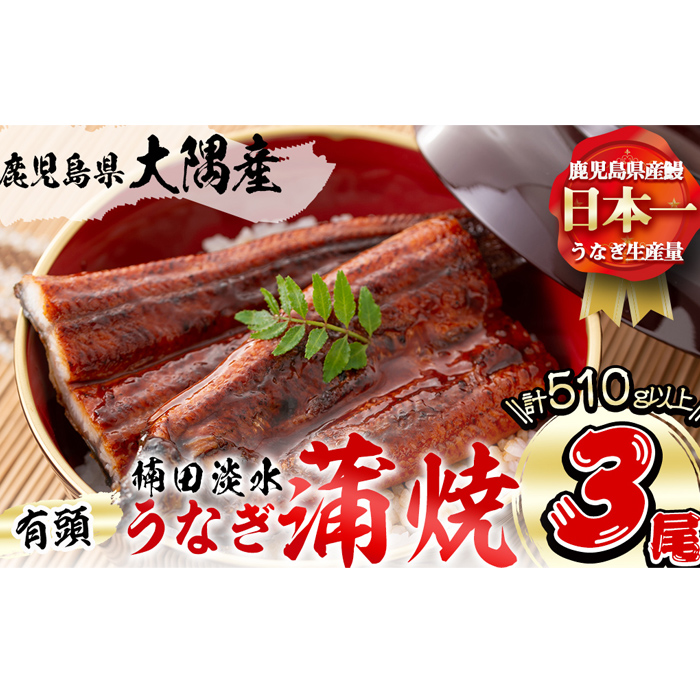 楠田の極うなぎ 蒲焼き170g以上×3尾(510g以上)