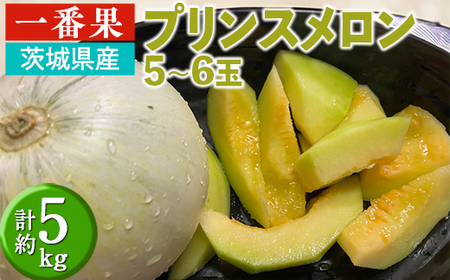 茨城県産　プリンスメロン 5~6玉(計約5kg) | 一番果 期間限定 個数限定 メロン めろん 甘い ジューシー 果物 フルーツ　※2025年6月上旬～6月下旬頃に順次発送予定　※離島への配送不可