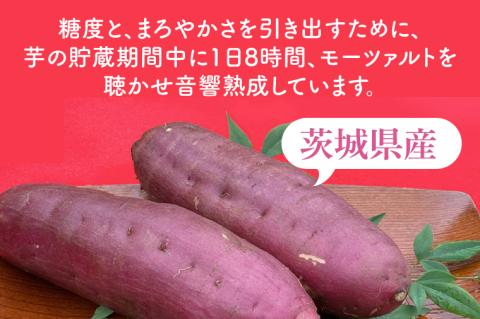 道の駅でも人気！【モーツァルトを聞かせた干し芋】紅はるか平干し800g（200g×４）【ほしいも 干芋 平干し 熟成 自社農場 無添加 無着色 水戸市 水戸 茨城県】（AY-1）