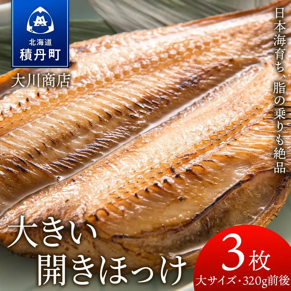 大きい 開きほっけ 3枚 セット ＜ 大川商店 ＞ ホッケ ほっけ 魚 北海道 干物 冷凍 北海道産