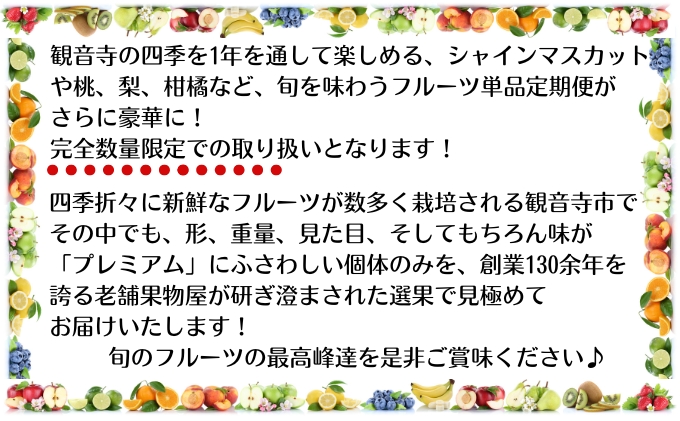 【数量限定！】旬の見極めこの一品！プレミアム等級選果