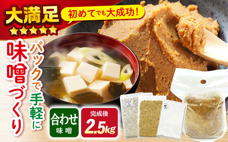 手作りキット 合わせ味噌 CDN010 味噌 自由研究 味噌