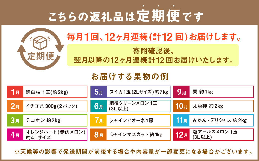【12か月連続定期便】熊本の旬のフルーツお届け便 （Aコース）