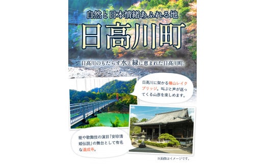 日高川町内の観光施設で利用できる「利用券」9,000円(500円券×18枚)きのくに中津荘《30日以内に出荷予定(土日祝除く)》---iwshg_kfknkr_30d_23_30000_18i---