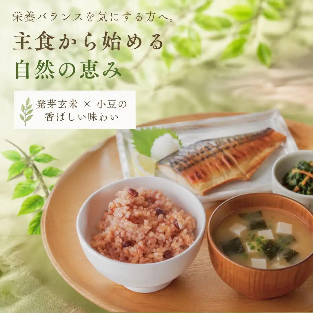 パックご飯 熟成3日 発芽玄米 簡易包装 125g × 25個 コシヒカリ 酵素玄米 | 寝かせ玄米 特別栽培米 パックご飯 新潟県