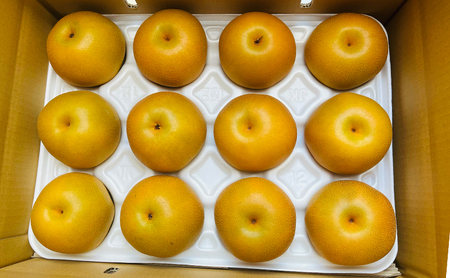 【先行予約】ひさい梨 豊水 5kg【果樹 秀専】 [ 梨 ナシ 果物 フルーツ 産地直送 ] 