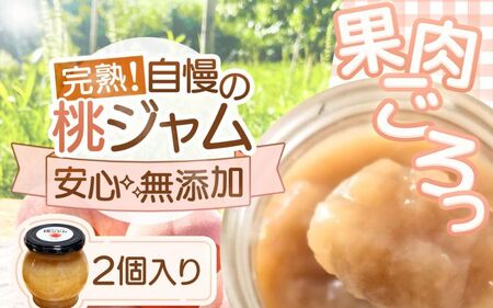 桃ジャム 瓶タイプ ～果肉ゴロっと贅沢仕上げ～ 2個入り【aozf004】