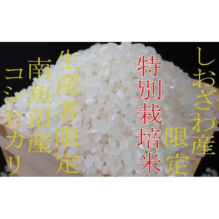 【令和7年】【定期便6kg×9ヶ月】特別栽培 しおざわ産限定 生産者限定 南魚沼産コシヒカリ|定期便 