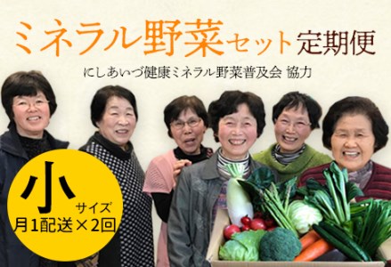 西会津ミネラル野菜セット定期便（小）2回 F4D-0737