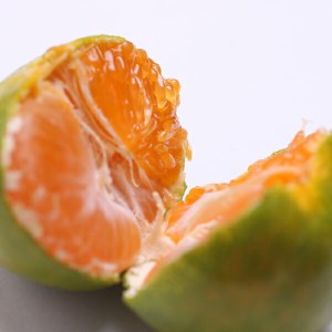 〈10月より発送〉ゆら早生 プレミアム有田みかん 2.5kg+250g（傷み補償分） ｜ みかん