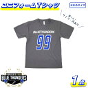 【ふるさと納税】【希望の選手背番号】ブルーサンダース ユニフォームTシャツ（大きいサイズ）＜3サイズから選択＞　【12203-0213】