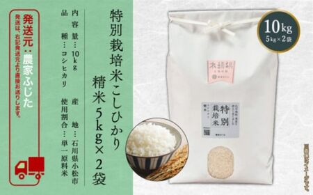 コシヒカリ 10kg 特別栽培米 コシヒカリ