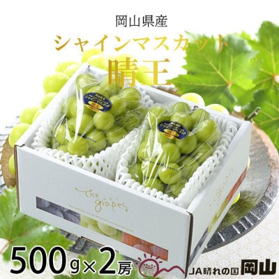 【2026年8月下旬より順次発送】岡山県産　シャインマスカット　晴王　500g×2房【配送不可地域：離島・北海道・沖縄】【1366090】