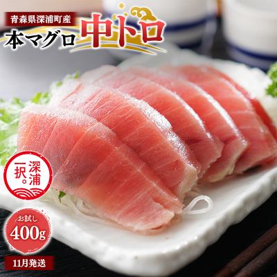 ふるさと納税 深浦町 青森県深浦町産 天然本マグロ 中トロ 400g 200g×2  冷凍柵