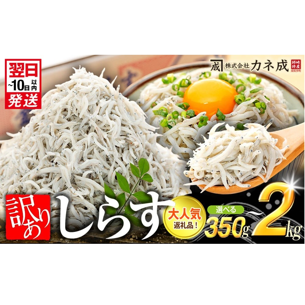 訳あり 釜揚げ しらす 350g～2kg 小分け  減塩 無添加 無着色 冷凍 愛知県 南知多町 ご飯 ごはん 丼 料理 国産 カネ成 シラス 人気 おすすめ