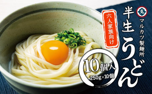 
                  【ギフト用】半生うどん 250g×10個 6人家族向け (贈答用・熨斗つき)
                