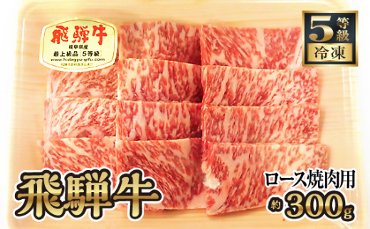 
飛騨牛ロース焼肉用 約300g（5等級/冷凍） [No.214] ／ ブランド牛 牛肉 BBQ 岐阜県 特産品
