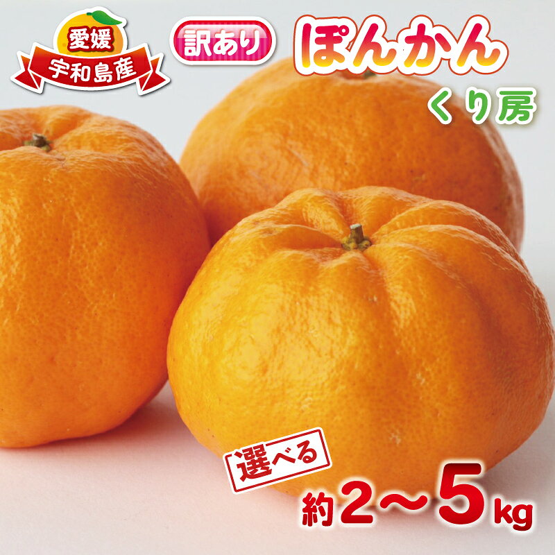 【ふるさと納税】 訳あり ぽんかん 選べる 約 2kg ～ 5kg くり房 ポンカン 椪柑 訳アリ 訳あり品 愛媛みかん 愛媛蜜柑 蜜柑 みかん mikan 柑橘 甘い 芳醇 香り豊か 濃厚 旬 国産 果物 くだもの フルーツ 数量限定 産地直送 愛媛 宇和島
