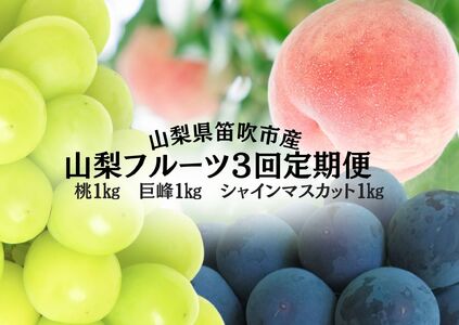 【2026年発送★先行予約】山梨のフルーツ定期便　全３回　桃　巨峰　シャインマスカット 167-140-26y