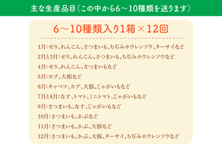 CN-8 【12ヶ月定期便】 夢見るじっちが作る季節の野菜セット 3～5種類入り1箱