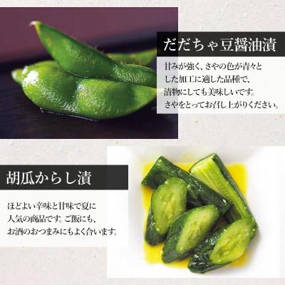 ふるさと納税 鶴岡市 夏限定!浅漬詰め合わせ[K-723] |  | 01