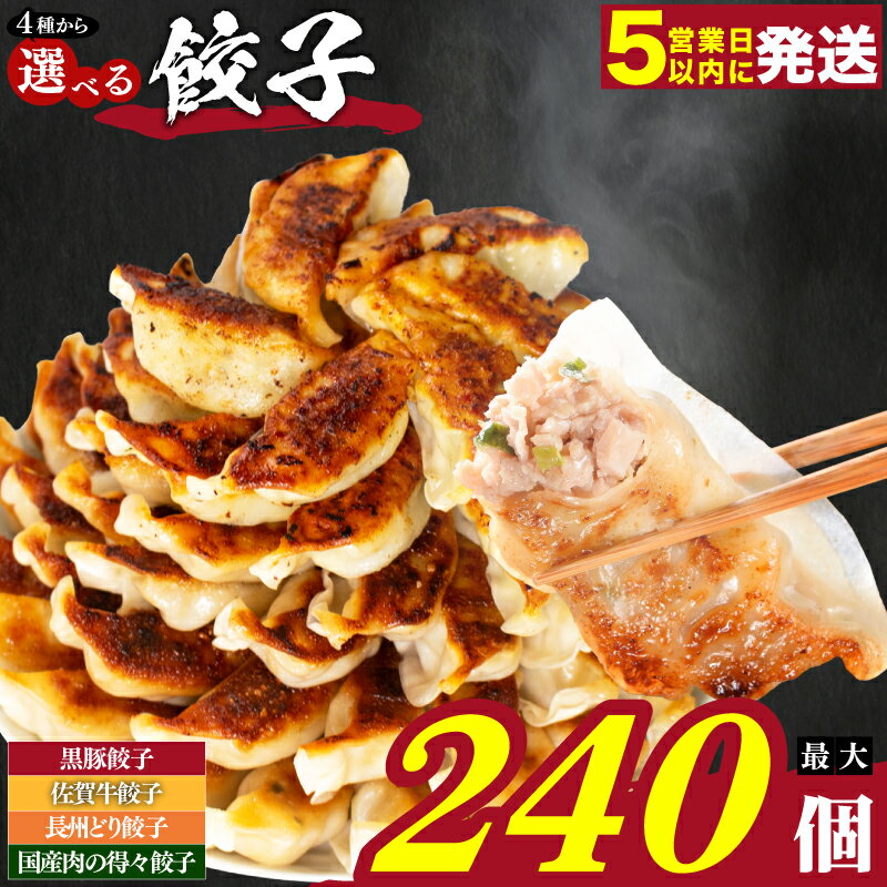 【ふるさと納税】 最短5営業日以内出荷 餃子 72~240個 冷凍 小分け 選べる 定期便 九州産黒豚 宮崎県 豚肉 鶏肉 牛肉 ぎょうざ ギョーザ 家族 お裾分け 子ども 弁当 惣菜 大容量 人気 ランキング 美味しい 焼き餃子 揚げ餃子 訳あり ふるさと納税餃子 黒豚餃子 山口県 下関市