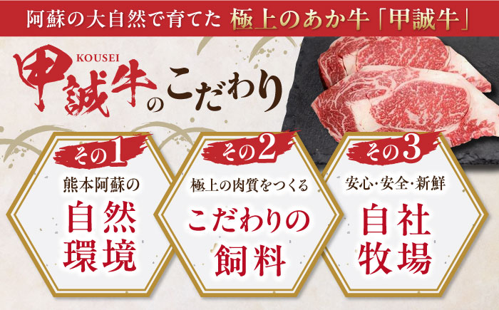 【全6回定期便】熊本県産 あか牛 ロースステーキ セット 計400g ( 200g × 2枚 ) 冷凍 専用タレ付き あか牛のたれ付き 熊本和牛【有限会社 三協畜産】[YCG070]